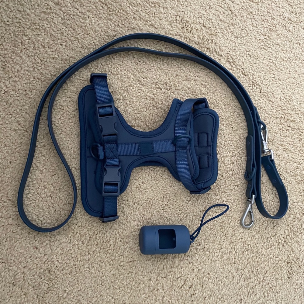 Wild One Harness and Leash Set - Navy